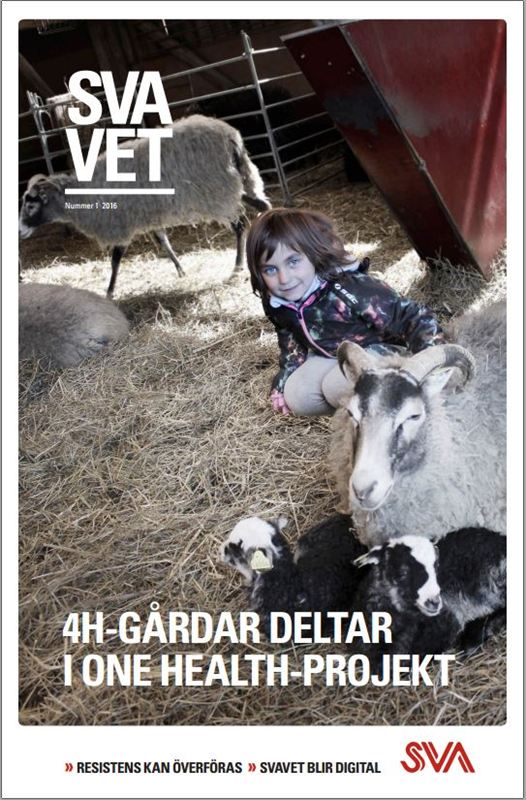 Nummer 1/2016 bjuder på ett varierat och aktuellt innehåll, och kan läsas både på papper och som den nya webbtidningen. Omslagsfoto: Mikael Propst/SVA