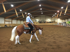 Westernridning med Julia Ögren på Long Valley Ranch i Nykvarn kan bli ett inslag i gymnasieutbildningen på Praktiska Södertälje