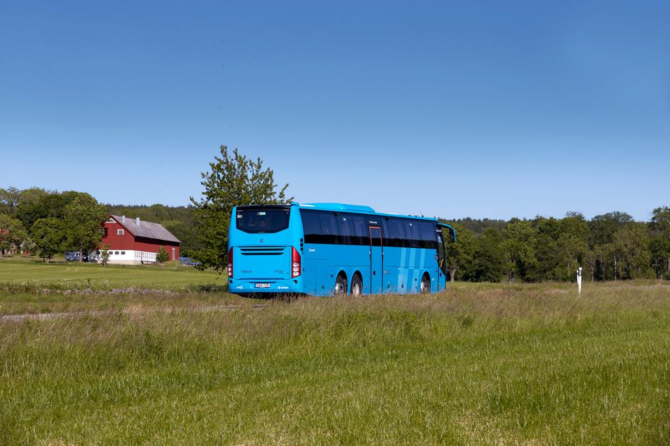 Buss sommar Varnhem