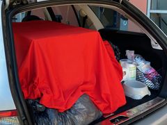 Under övertäckta burar i en stekhet bil fann tulltjänstemännen fem dräktiga tikar från Ungern. Foto: Tullverket