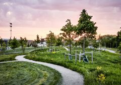 Nominerad till Landskapsarkitekturpriset 2020: Paradiset, Linköping. Foto: Måns Berg