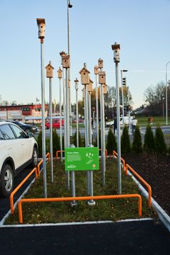 Lidl bygger hållbara butiker - Ekozoner på parkeringen