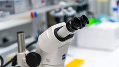 Hjärnfondens utlysningar 2019