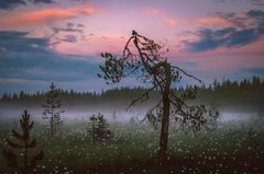 Foto: Asko Kuittinen/Visit Finland