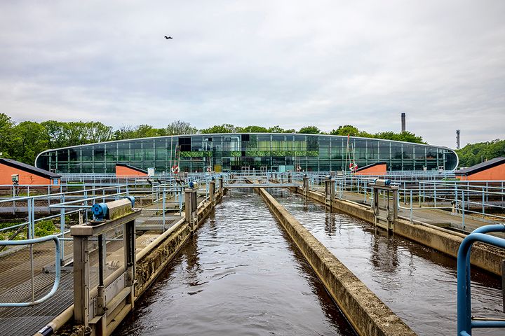 Foto: Emelie Asplund