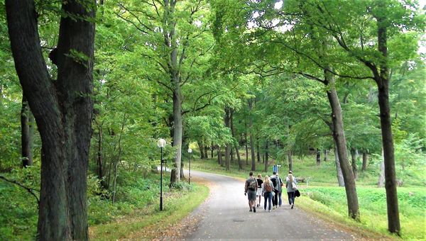 Walk of Hope genomförs under barncancermånaden i september.