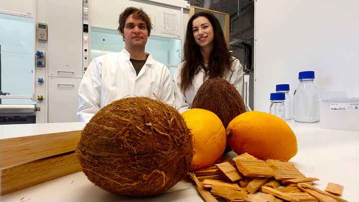 – Träet ger styrka, den citronbaserade polymeren möjliggör transparens, och den kokosnötsbaserade komponenten lagrar värmeenergi, säger Céline Montanari, här tillsammans med forskarkollegan Peter Olsén.
