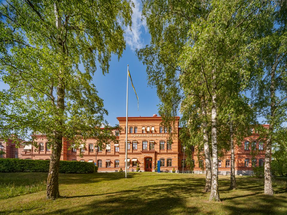 Sophiahemmet, sommar