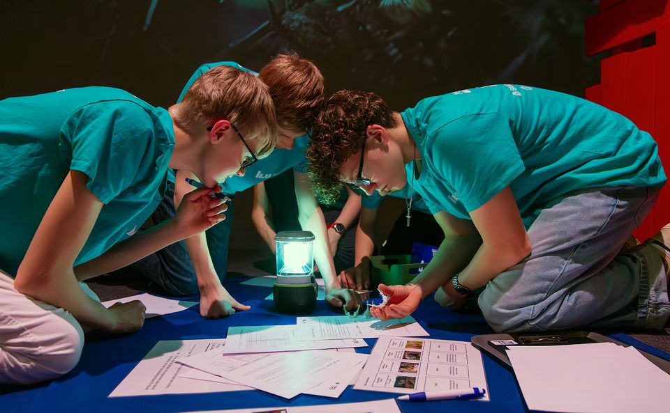 Teknikåttan tävling