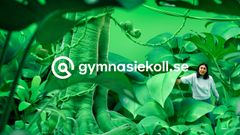 Gymnasiekoll.se ska ge elever koll på sitt gymnasieval och samtidigt visa upp bredden bland AcadeMedias gymnasieskolor.