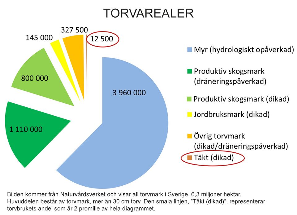 Torvarealer i sverige