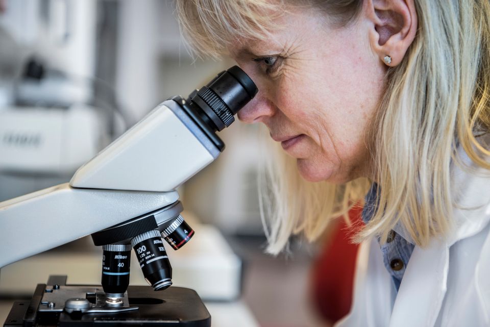 Forskning i Folktandvården