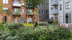 Den prunkande innergården som får omsorg året runt av Einar Mattssons Utemiljö-team.