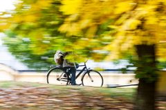 I höst startar en ny utbildning till cykeltekniker inom kommunens vuxenutbildning.