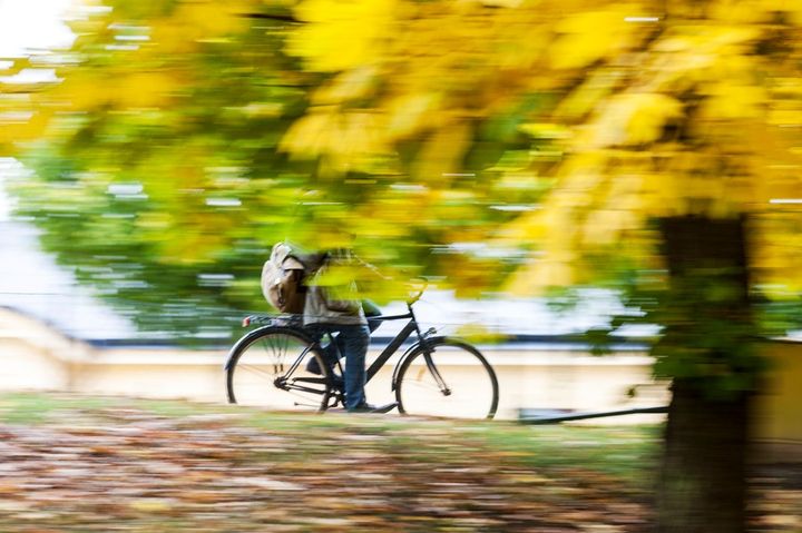 I höst startar en ny utbildning till cykeltekniker inom kommunens vuxenutbildning.