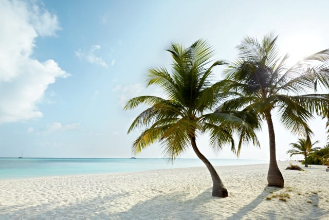 Maldiverna, fotograf Joakim Borén, Ving