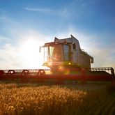 Foto: Fredrik Persson