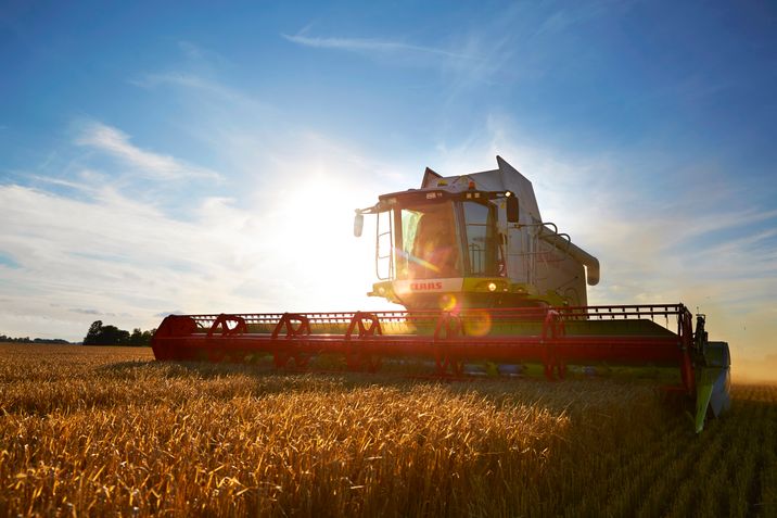 Ökande ansökningssiffror för lantbruk, skog och djurvård till naturbruksprogrammet