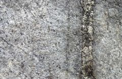 Exempel på mineraliserad gång med sällsynta jordartsmetaller (REE-fosfatmineralen xenotim och monazit ) i Olserum. 300 dpi. Foto: Stefan Andersson/SGU