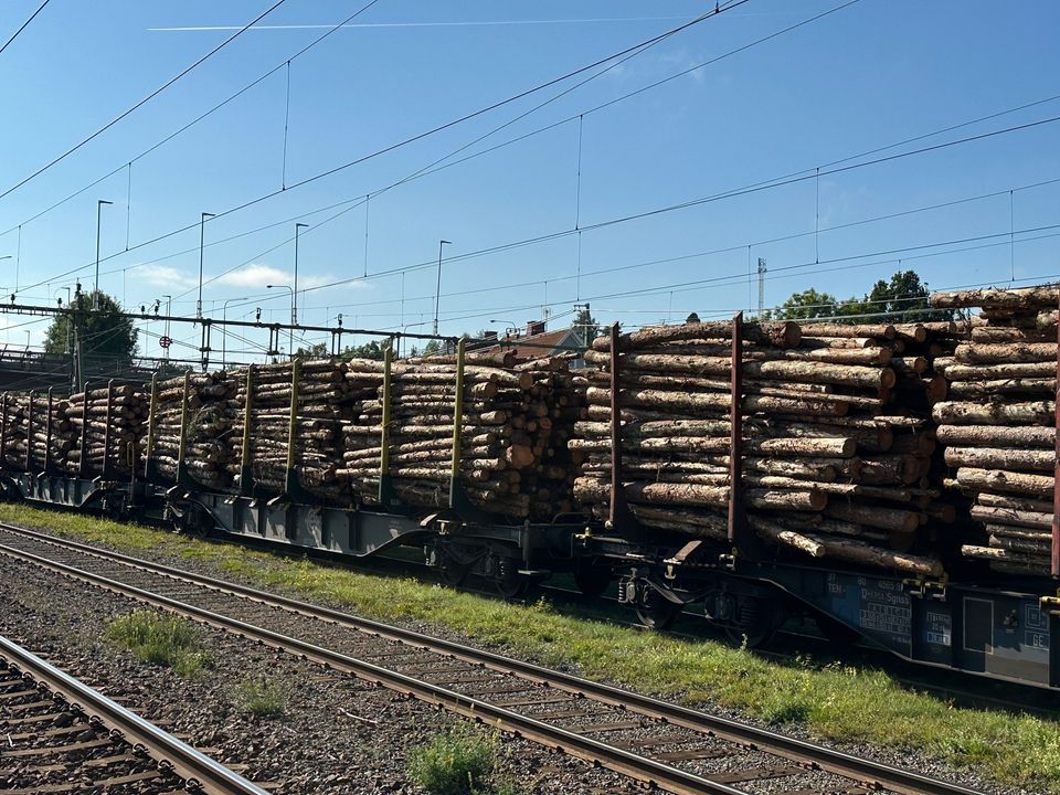 Pressbild timmertransport på tåg