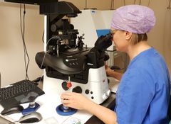 Laboratoriet på fertilitetsenheten