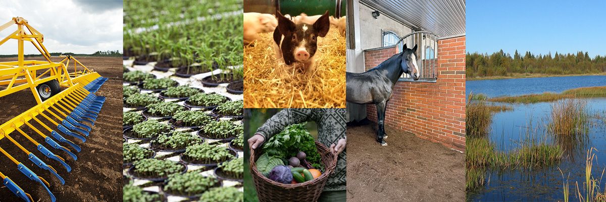 Branschföreningen Svensk Torv