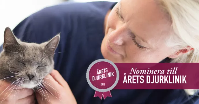 Sveriges djurägare ska rösta fram Årets djurklinik