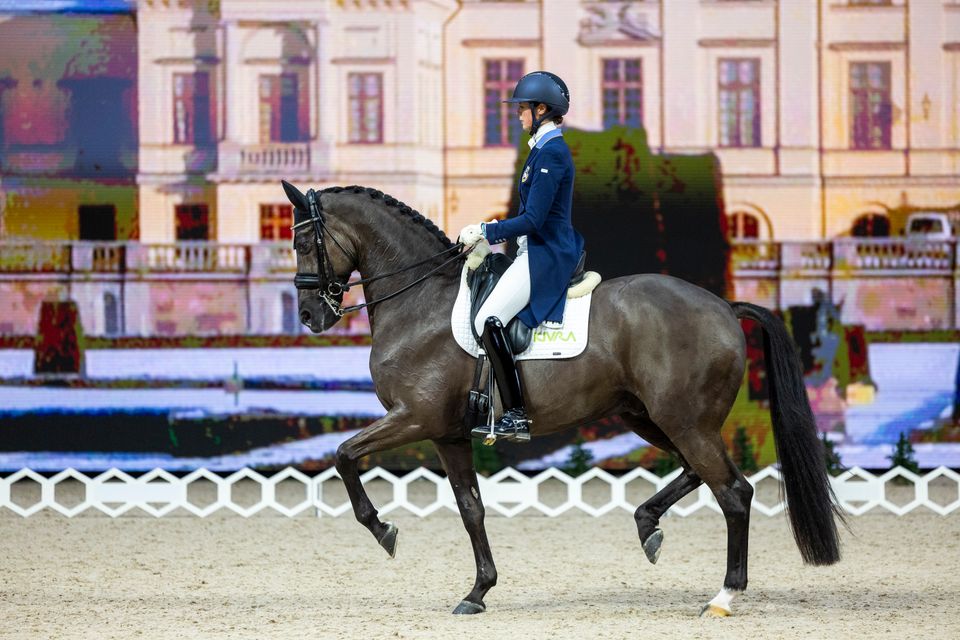 Maria_von_Essen-Invoice_251129