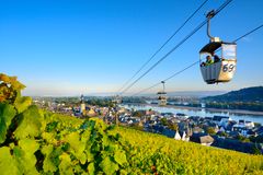 Rüdesheim: Utsikt över Rüdesheim am Rhein och de omkringliggande vinbergen. FOTO: DZT e.V./Francesco Carovillano