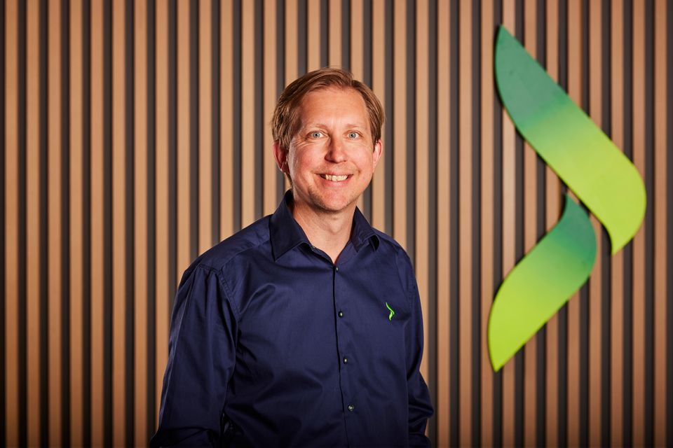 Mark Hammarberg
