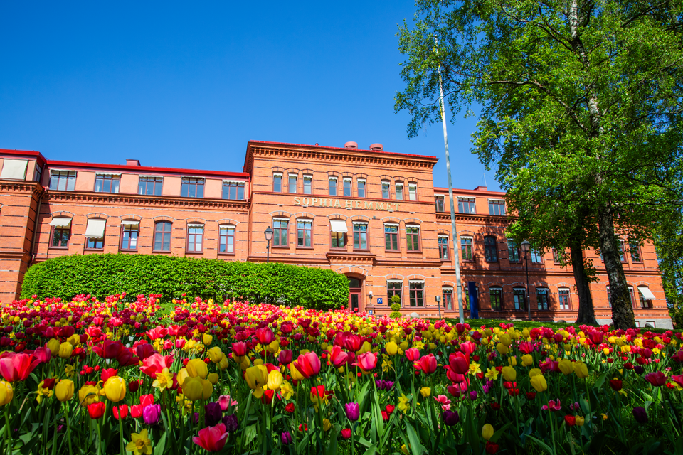 Sophiahemmet, vår