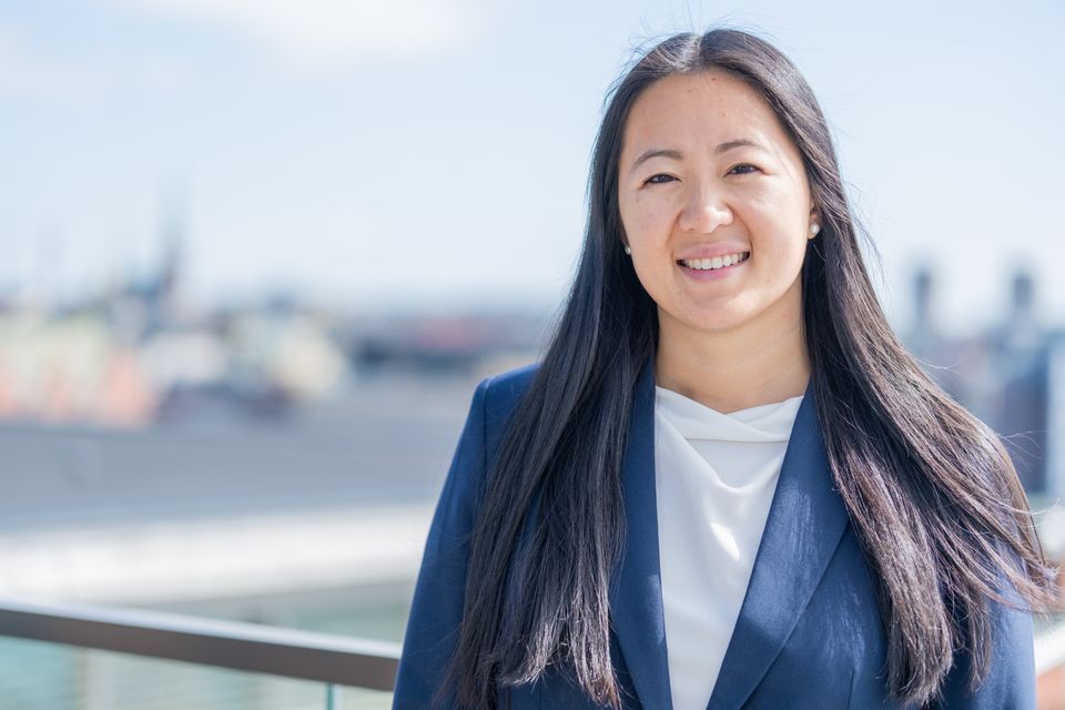 Kim Larsson, utredare