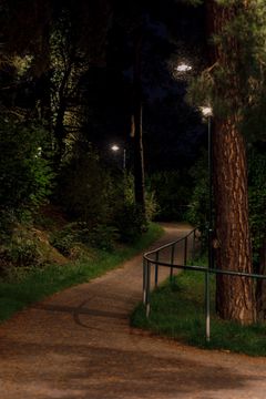 Ett gångstråk i kyrkoparken, foto: Erik Hagström