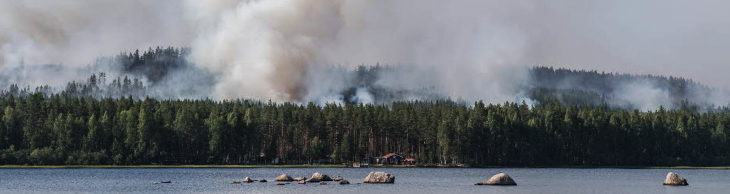 Frivilligförsvaret