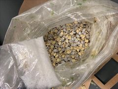 Ombord på tåget fann tulltjänstemännen över 10 100 tabletter Ecstacy som beslagtogs. Nu åtalas två personer vid Malmö tingsrätt. Foto: Tullverket.