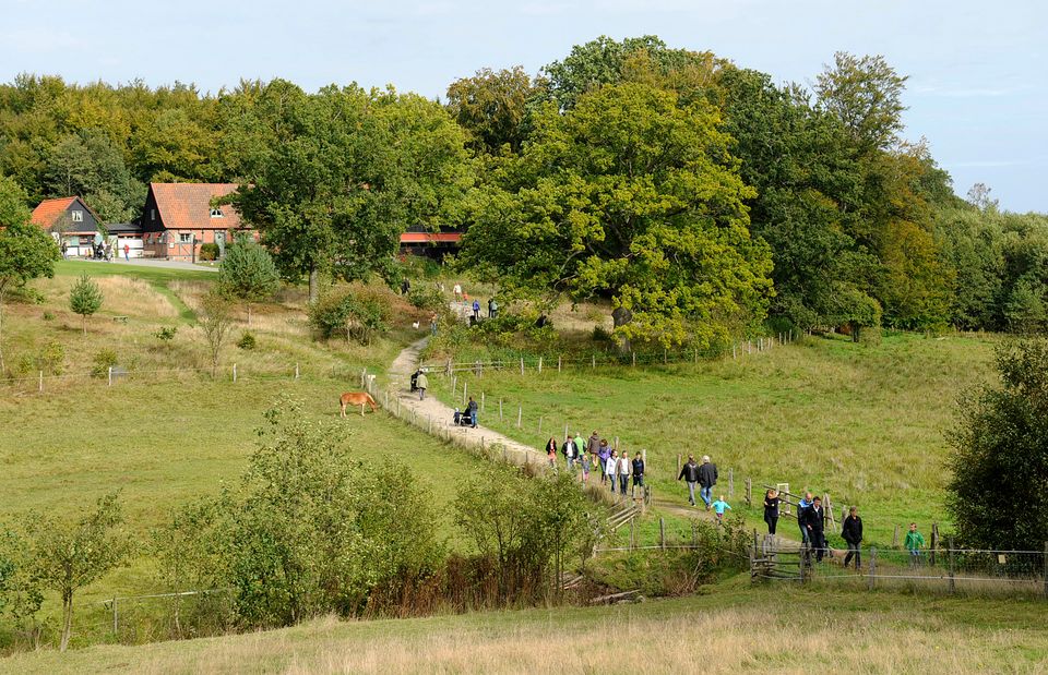 Kulturens Östarp – Östarps sommarcafé