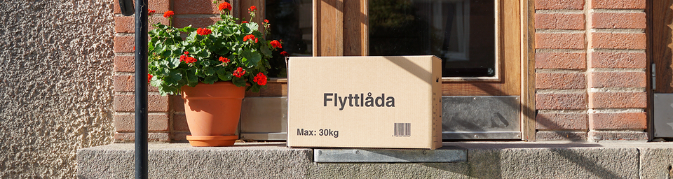 Till nyhetsrum TT.png