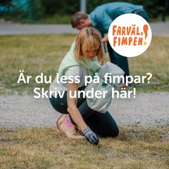 I dag lanserar Håll Sverige Rent kampanjen ”Farväl fimpen!” för att råda bot på att en miljard cigarettfimpar varje år blir skräp i Sverige. Foto: Håll Sverige Rent