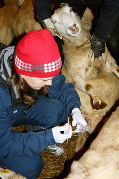 Provtagning-fotrota Foto Ulrika-Konig-300