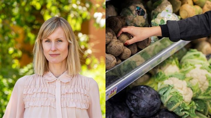 Maiju Wetterhall, sakkunnig Cancerfonden
