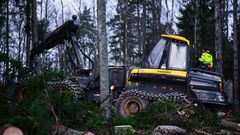 I alla affärer som omfattas av VML säkerställs att det finns kvalitetssäkrade skördare för att inmätning ska ske med hjälp av AI-lösningen. Foto: Jonas Clefström