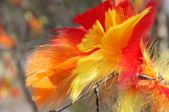 Påskfjädrar. easter decorations. Foto: Maria Johansson/Skansen
