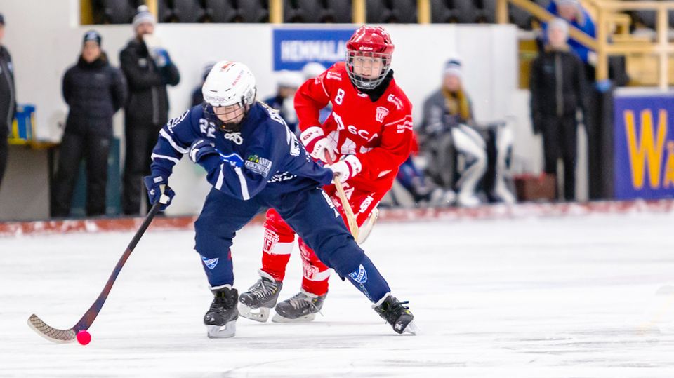 IFK Rättvik Tackar Nej Till Plats I Elitserien Dam I Bandy - Så Spelas ...