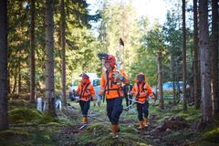 Nära 800 medarbetare deltog i Naturnära jobb. Foto: Patrik Svedberg, Skogsstyrelsen (Bilden får användas fritt i samband med rapportering om den här nyheten)
