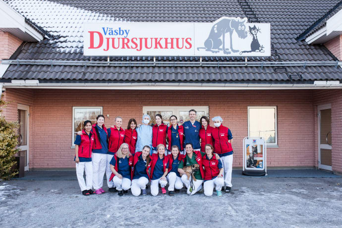 Upplands Väsbys Djursjukhus är finalist i Årets Djurklinik 2017