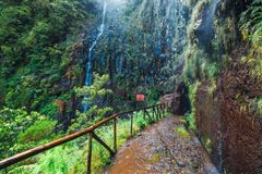 Levadavandring på Madeira i fantastisk natur.