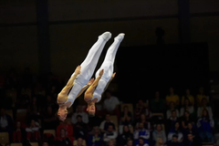 Foto: Mike Driscoll.