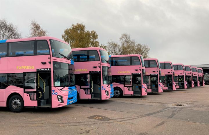 Bussarna har Västtrafiks nya rosa expressbussutseende. Foto: Andreas Sörthaga