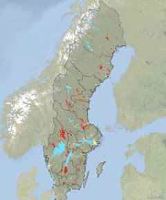 Kartan visar tätheten av kolbottnar i landskapet, ju rödare färg desto fler kolbottnar i området. Karta: Skogsstyrelsen, Lantmäteriet I2011/00173 (Bilden är fri att publicera i samband med rapportering om denna nyhet.)