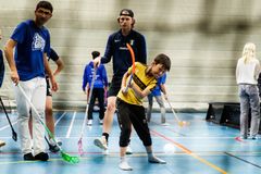 Foto: FRI att ANVÄNDA - Foto Bildbyrån.